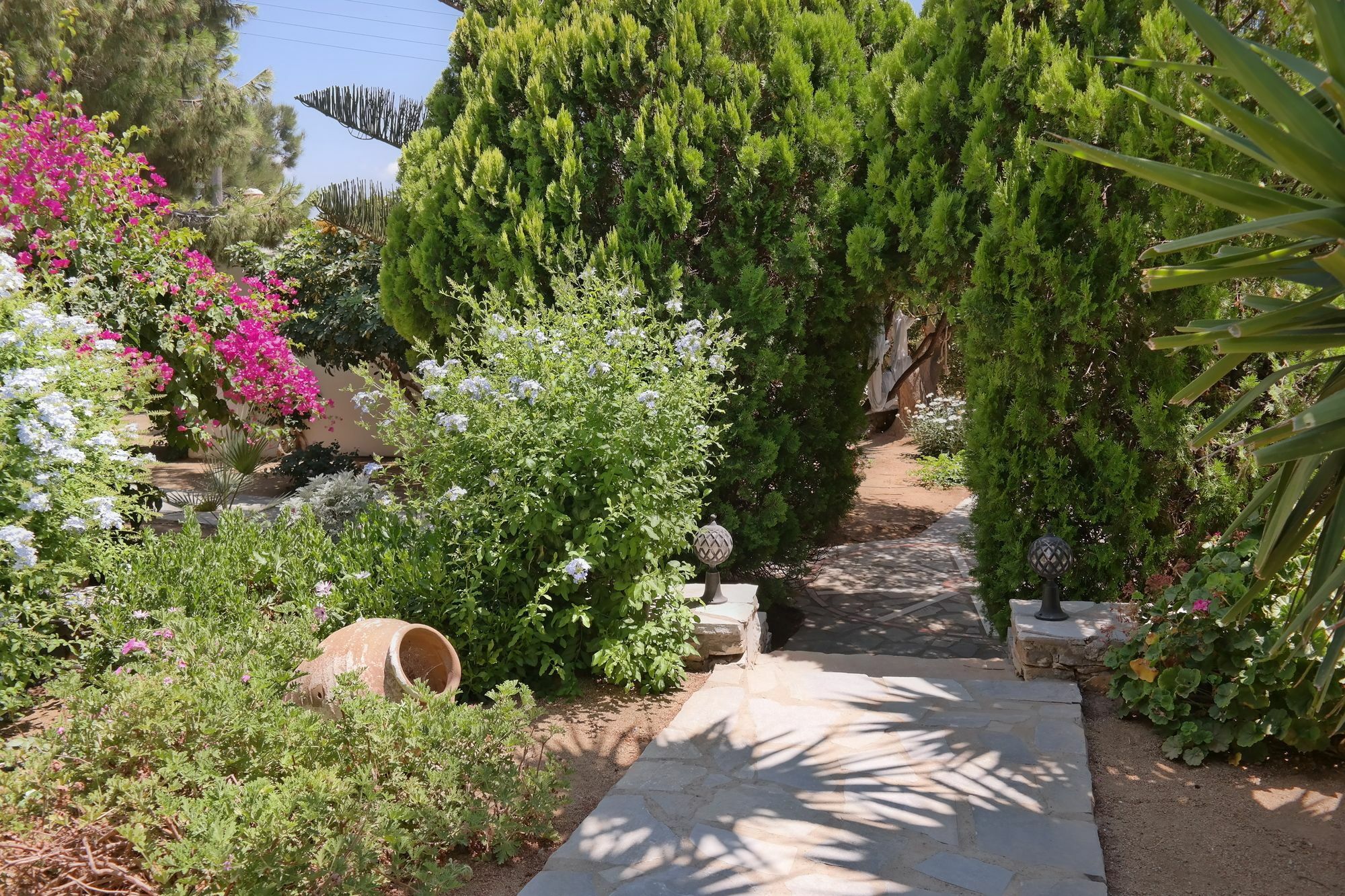 Sun Rock Apartments Στελίδα Εξωτερικό φωτογραφία