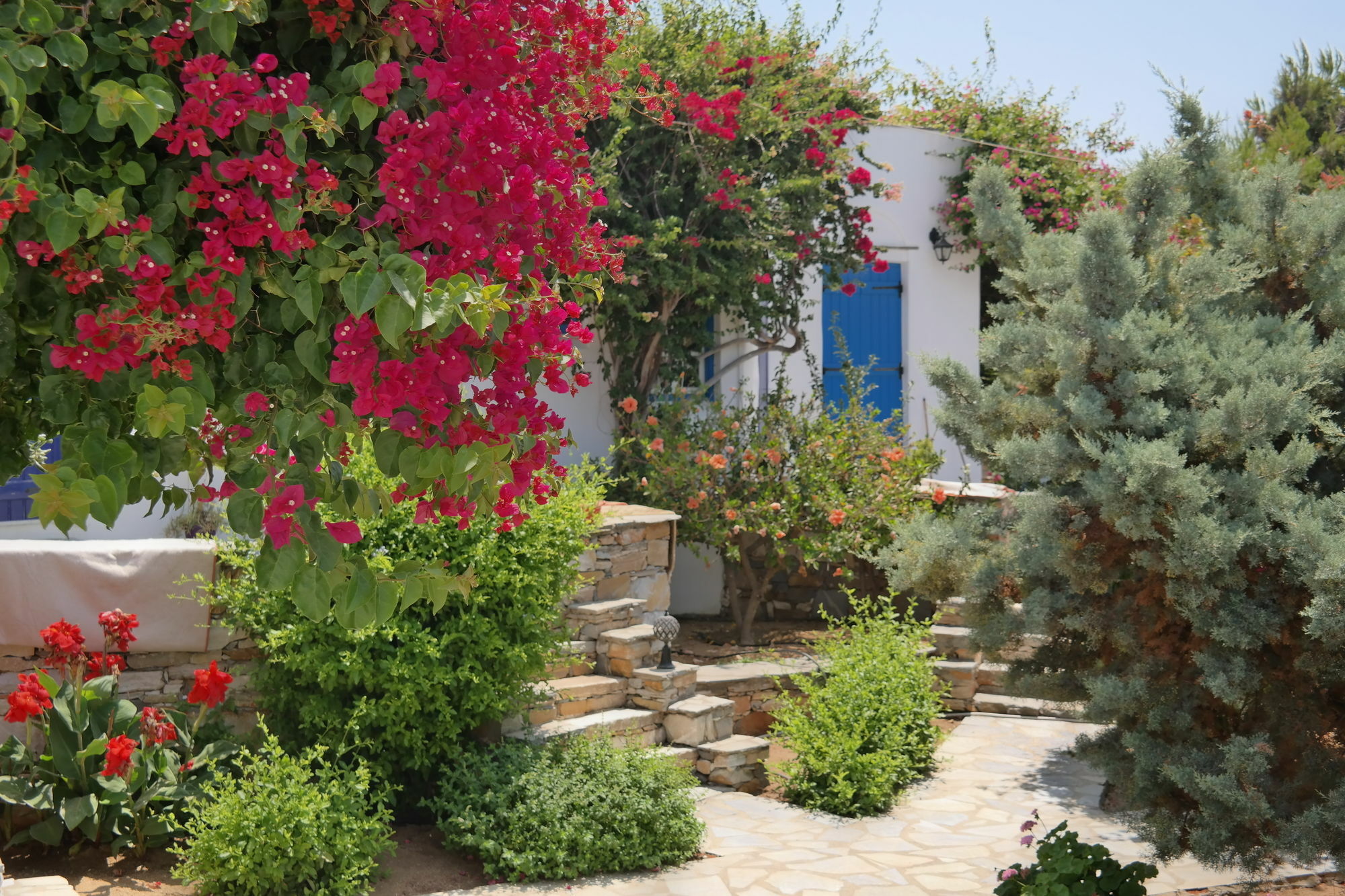 Sun Rock Apartments Στελίδα Εξωτερικό φωτογραφία